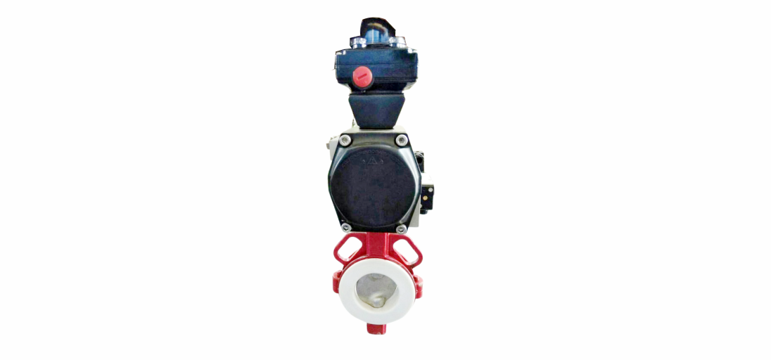 Lined valve